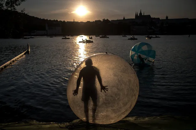 A man plays or goes zorbing inside a giant plastic ball, called a zorb, during a warm summer's day on the Vltava River in Prague, Czech Republic, 19 July 2017. Meteorologists predict summer temperatures of around 31 degrees Celsius in the Czech Republic over coming days. (Photo by Martin Divisek/EPA)
