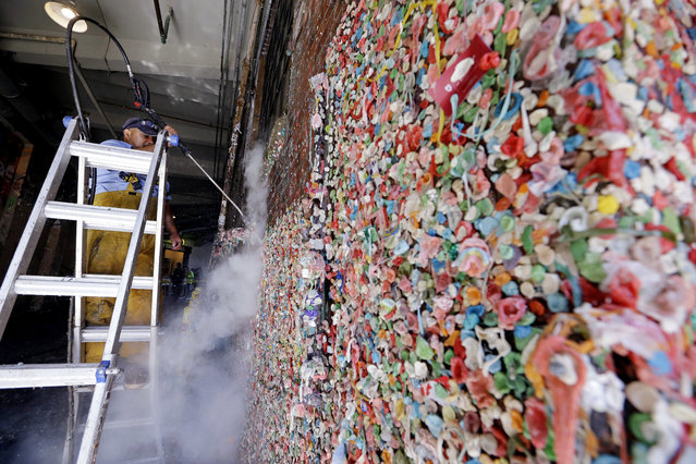 Worker Leo Delgado sends up a cloud of steam as he pressure washes a year's worth of gum off of the landmark “gum wall” in Post Alley at the Pike Place Market Friday, September 15, 2017, in Seattle. First cleaned in 2015 after 20 years of collecting gum stuck there by locals and tourists, the washing is now an annual event done near the end of summer. (Photo by Elaine Thompson/AP Photo)