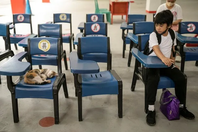 A student looks at a cat sleeping on a chair on the first day of in-person classes at a public school in San Juan City, Philippines on August 22, 2022. (Photo by Eloisa Lope/Reuters)