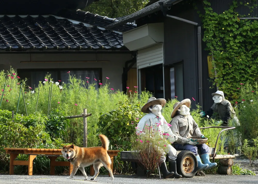 A Scarecrow Village in Japan
