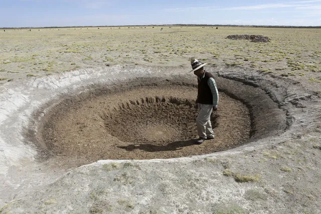 Farmer Sindulfo Fernandez inspects a dried watering hole for llamas in Orinoca, Oruro Department, Bolivia, January 8, 2016. The water dried due to a drought. (Photo by David Mercado/Reuters)