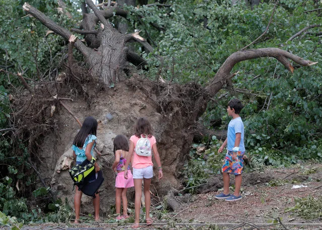 Children look at the roots of a downed tree during the clean up of Tropical Storm Isaias in the Astoria neighborhood of Queens, New York, U.S., August 5, 2020. (Photo by Brendan McDermid/Reuters)