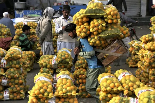 A laborer carries sacks of oranges in a wholesale fruit market in Lahore, Pakistan, on December 1, 2021. (Photo by K.M. Chaudary/AP Photo)
