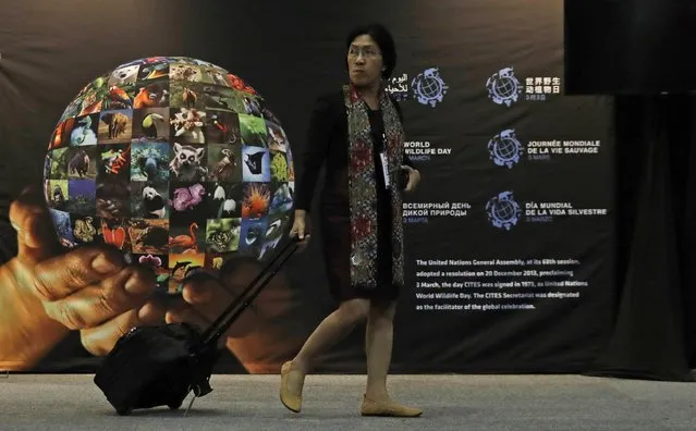A delegate walks past a “UN World Wildlife Day” poster at the Convention on International Trade in Endangered Species of Wild Fauna and Flora, (CITES) in Johannesburg, South Africa, Tuesday September 27, 2016. The 12-day meeting of the UN group, which regulates wildlife trade, ends October 5. (Photo by Themba Hadebe/AP Photo)
