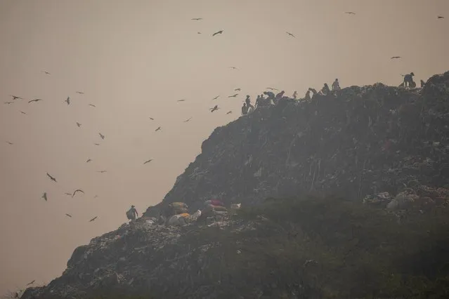 Ragpickers collect recyclables from a dump yard on a smoggy morning in New Delhi, India, October 23, 2020. (Photo by Danish Siddiqui/Reuters)