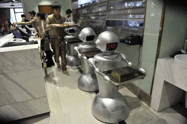 A man puts dishes on robots for delivery at a restaurant in Hefei, Anhui province, December 26, 2014. (Photo by Reuters/Stringer)