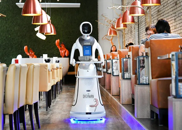 A robot serves in a Chinese restaurant to reduce the risk of spreading the coronavirus disease (COVID-19) in Maastricht, Netherlands, June 2, 2020. (Photo by Piroschka van de Wouw/Reuters)