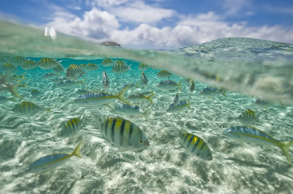 ALL 2012 National Geographic Traveler Photo Contest – in HIGH RESOLUTION. Part I: “Outdoor Scenes” – Weeks 7-14 (68 Photos)