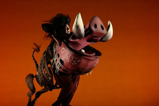 Pierre van Heerden as “Pumbaa” performs on stage during the Lion King Media Call at the Sands Theatre at Marina Bay Sands on June 28, 2017 in Singapore. (Photo by Suhaimi Abdullah/Getty Images)