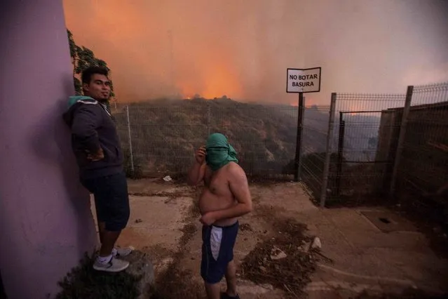 A man covers his face while a forest fire burns the hills of Valparaiso city, northwest of Santiago, March 13, 2015. The banner rads “No Garbage”. (Photo by Lucas Galvez/Reuters)