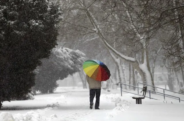 A man walks with an umbrella in the snow in Zagreb February 6, 2015. According to the Croatian Meteorological and Hydrological Service, 20 centimeters of snow has fallen in Zagreb. (Photo by Antonio Bronic/Reuters)
