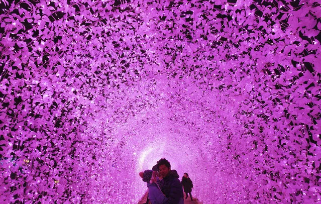 A couple poses under an illuminated tunnel to celebrate the upcoming Christmas and New Year at Garden of Morning Calm in Gapyeong, South Korea, Friday, December 20, 2013. Christmas is one of the biggest holidays in South Korea. (Photo by Ahn Young-joon/AP Photo)