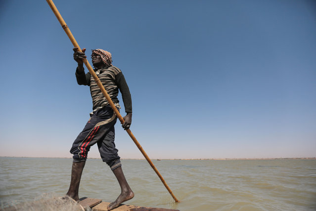 In this Wednesday, April 15, 2015 photo, Younis Hamad al-Nil, 35, sails his wooden boat on the Nile River on the outskirts of Khartoum, Sudan. For 20 years, he has made the same trip, using his expert eye to search for suitable patches of water. Once satisfied with the location, he drops his net; retrieving it a half hour later to survey his haul. (Photo by Mosa'ab Elshamy/AP Photo)