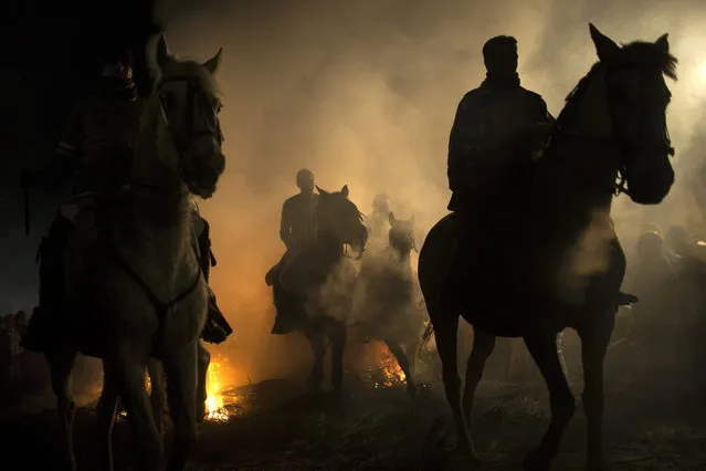 Men ride horses next to a bonfire as part of a ritual in honor of Saint Anthony, the patron saint of animals, in San Bartolome de Pinares, about 100 kilometers (62 miles) west of Madrid, Spain on Thursday, January 16, 2014. (Photo by Emilio Morenatti/AP Photo)