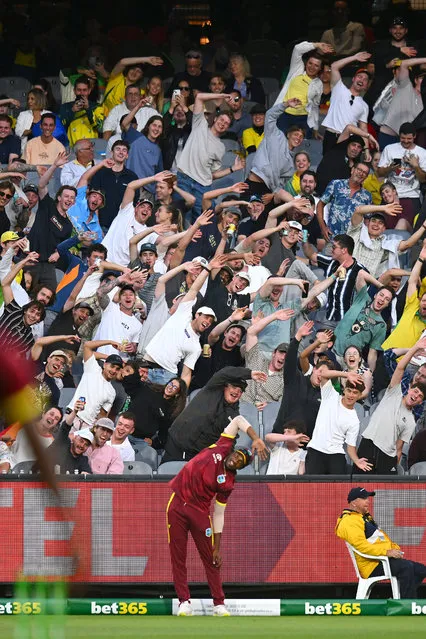 Crowds copy the stretches of Matthew Forde of the West Indies during game one of the One Day International series between Australia and West Indies at Melbourne Cricket Ground on February 02, 2024 in Melbourne, Australia. (Photo by Morgan Hancock - CA/Cricket Australia via Getty Images)