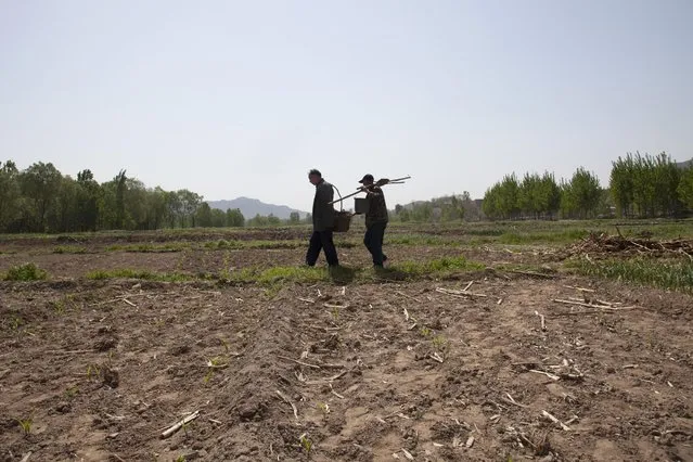 In this April 23, 2015 photo, friends Jia Wenqi, left, and Jia Haixia walk across a field in Yeli village near Shijiazhuang city in northern China's Hebei province. (Photo by Helene Franchineau/AP Photo)