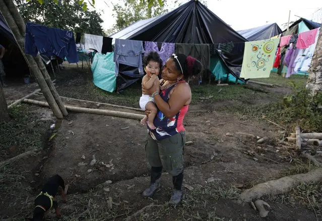 In this Tuesday, February 28, 2017 photo, FARC rebel Sandra Saez holds her 4-month-old daughter Manuela outside her tent at a rebel camp in a demobilization zone in La Carmelita, in Colombia's southwestern Putumayo state. Maternity was always a hot topic of discussion within the rebel ranks, and the practice of forbidding female fighters from keeping their children at the camps flew in the face of the rebels’ claim that by enrolling female warriors they were freeing women from traditional gender roles that restricted women’s choices, and it angered many in this devoutly Roman Catholic country. (Photo by Fernando Vergara/AP Photo)