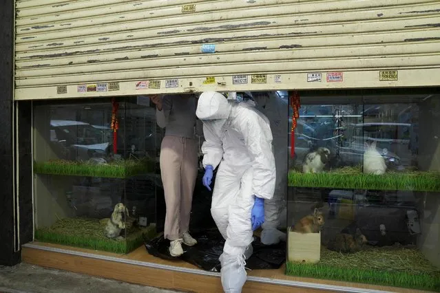 Officers in protective suits leave a closed pet shop in Mong Kok district after a hamster cull was ordered to curb the coronavirus disease (COVID-19) outbreak, in Hong Kong, China on January 19, 2022. (Photo by Lam Yik/Reuters)