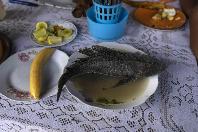 The Amazonian dish “Chilcano de Carachama” is served at a market in the Belen neighborhood of Iquitos, Peru, Saturday May 25, 2024. The Indigenous community in the heart of Peru's Amazon known as the “Venice of the Jungle” is hosting the Muyuna Floating Film Festival, celebrating tropical forests. (Photo by Rodrigo Abd/AP Photo)