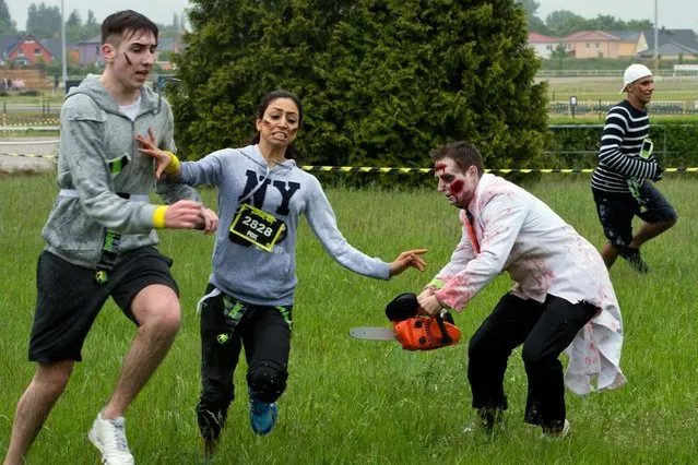 Participants costumed as zombies try to catch hobby runners during the so-called Zombie-Run at the harness racing track Karlshorst in Berlin, Germany, 18 May 2014. The runners carry small flags in their belts which they have to get safely across the finishing line while the zombies try to steal them. The sporting event is based on the US television series “The Walking Dead”. (Photo by Soeren Stache/DPA)