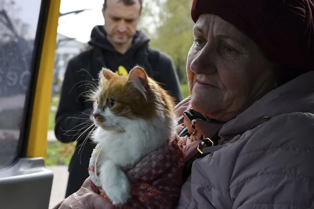 A woman with a cat sits in a bus to move to Ukrainian city of Dnipro during an evacuation of civilians in Kramatorsk, Ukraine, Tuesday, April 19, 2022. (Photo by Andriy Andriyenko/AP Photo)