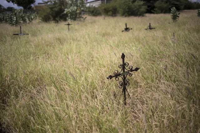 Crosses mark graves amid overgrown grass at Corazon de Jesus cemetery in Maracaibo, Venezuela, November 21, 2019. Death has become an overwhelming financial burden for many of Venezuela’s poorest, who already struggle to find dignity in life. They scrape together food and shelter needed to get through each day. So a relative's death becomes the breaking point in a country where most earn a minimum wage of roughly $3 a month. Some overcome the financial burden of a relative's death by renting caskets, a cheaper option than buying. Others turn to amateur morticians, who embalm bodies at home and convert wooden furniture into coffins. When families can't afford headstones at the Maracaibo public cemetery, the rain erases any sign of a grave. (Photo by Rodrigo Abd/AP Photo)