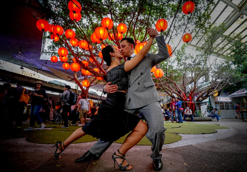 Pictures of the Year 2019, Part 11/44