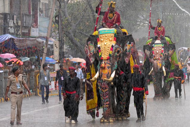 Mahouts ride decorated elephants as it rains during a procession on the last day of the Dussehra festivities, in Mysuru, India, Saturday, October 12, 2024. (Photo by Aijaz Rahi/AP Photo)