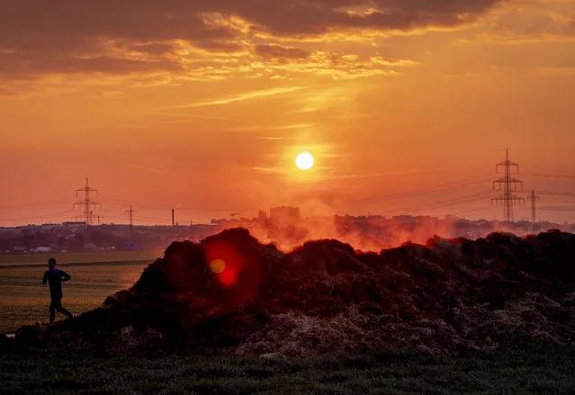 A man runs past a steaming dunghill in the outskirts of Frankfurt, Germany, Thursday, March 19, 2020. (Photo by Michael Probst/AP Photo)