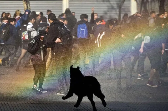 A dog runs through a rainbow formed from the mist of a police water cannon during a student protest for education reform in downtown in Santiago, Chile, Thursday, August 4, 2016. Protesters demands include free access to school for all levels, including university level. (Photo by Esteban Felix/AP Photo)