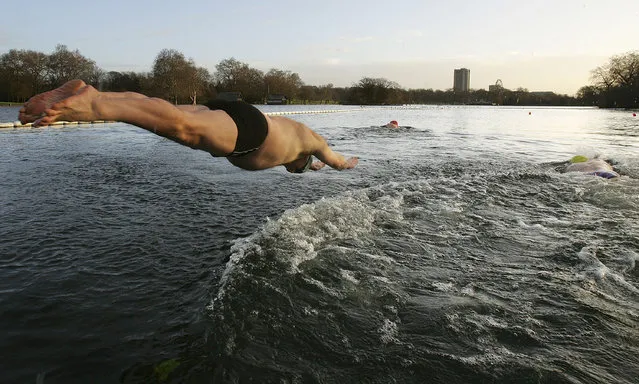 Saturday morning Serpentine Lido swimmers brave cold waters of 4 degrees celsius on January 5, 2008 in London. The swimmers meet every Saturday morning of the year regardless of weather conditions. (Photo by Cate Gillon)