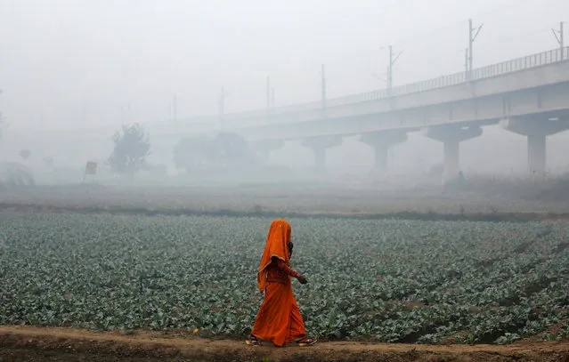 A woman walks across a field on a smoggy morning in New Delhi, India, November 13, 2017. (Photo by Saumya Khandelwal/Reuters)