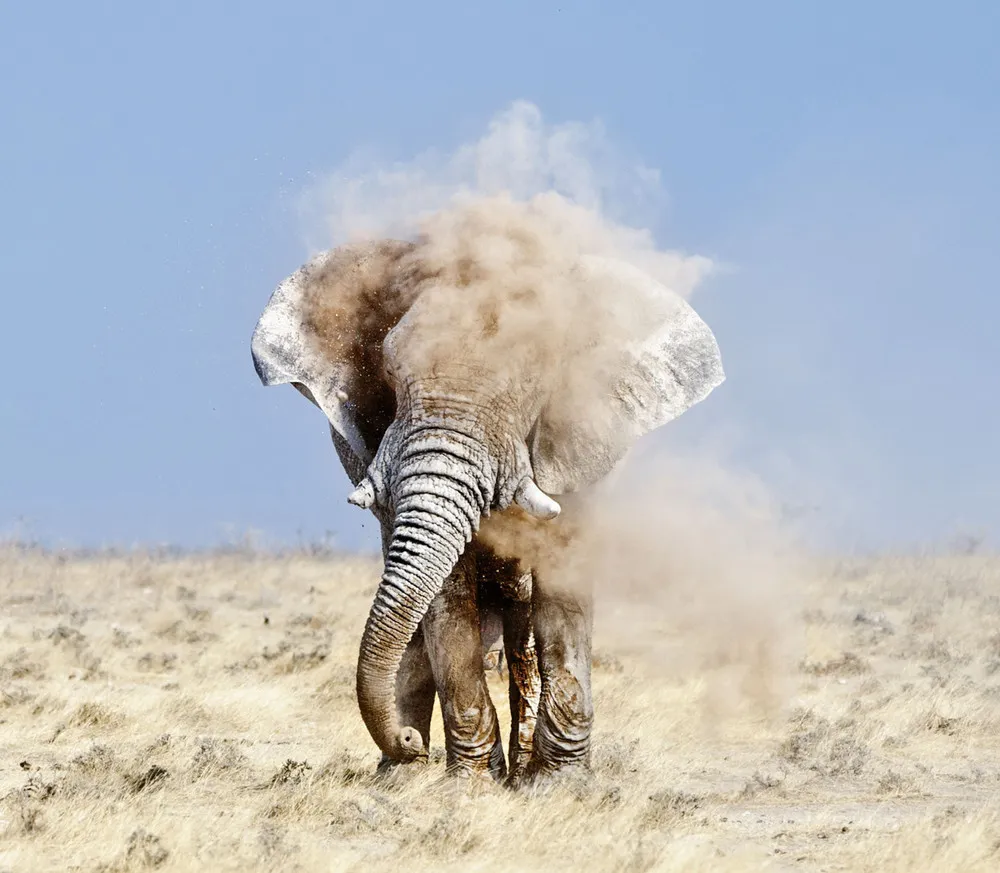 National Geographic Photo Contest 2012. Part II