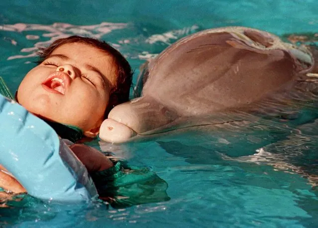Two-year and eight-month-old Carlos Mario Sosa Rosiles, who is mentally handicapped, closes his eyes as a dolphin called Venus nudges him gently during his first session of neuro-stimulating therapy in a dolphin aquarium at a Mexico City zoo, March 3, 1998. The therapy is supposed to help children with motor neuron disabilities, autism and other mental handicaps by stimulating their brains with the dolphins' high-frequency sounds. The doctor running the treatment claims that the children make improvements in their coordination and movement skills as a result of the therapy. (Photo by /Reuters)