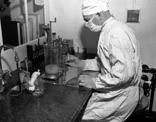 Charles D. Brown, fills a vial with BCG, a vaccine against tuberculosis, on December 2, 1947 at a state-operated laboratory at Albany, N.Y. (Photo by AP Photo)