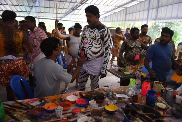 Indian artists paint performers with body-paint depicting tigers as they prepare to take part in the “Pulikali”, or Tiger Dance, in Thrissur on September 17, 2016. (Photo by Arun Sankar/AFP Photo)