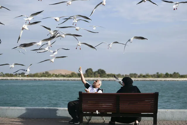 Man feeding birds at the Corniche in Abu Dhabi on January 3, 2023. (Photo by Khushnum Bhandari/The National)