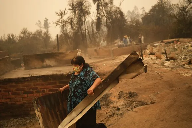 A woman clears debris from a landscape of charred remains in Santa Ana, Chile, Saturday, February 4, 2023. At least 13 people were reported dead as a result of the wildfires burning across Chile that have destroyed homes and thousands of acres of forest while the South American country is in the midst of a heat wave. (Photo by Matias Delacroix/AP Photo)