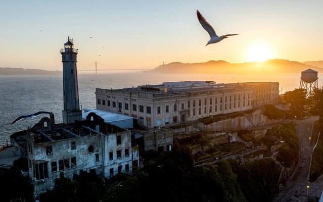 A bird flies above Alcatraz Island in California’s San Francisco Bay on Sunday, May 4, 2025. President Donald Trump said he would order the government to rebuild and reopen the former prison on Alcatraz that once housed some of the most dangerous criminals in the country. (Photo by Noah Berger/AP Photo)