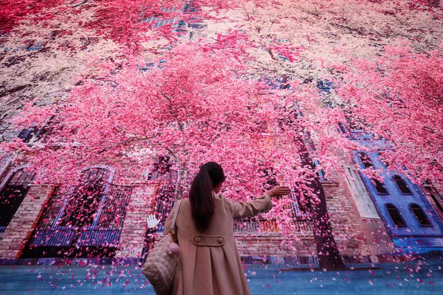 A woman swipes her hand through the air to manipulate the falling digital blossom during the premiere showing of “Nature's Confetti” at Outernet London on April 03, 2024 in London, England. Outernet's Blossom campaign is injecting flower power into London's commercial hub, immersing audiences in a 360-degree experience of “nature's confetti” at the flagship Now Building on Tottenham Court Road. (Photo by Leon Neal/Getty Images)