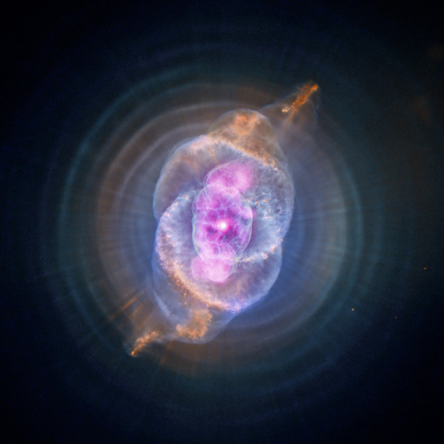 This image is NGC 6543 known as the Cat's Eye Nebula as it appears to the Chandra X-Ray Observatory and Hubble Telescope. A planetary nebula is a phase of stellar evolution that the sun should experience several billion years from now, when it expands to become a red giant and then sheds most of its outer layers, leaving behind a hot core that contracts to form a dense white dwarf star. This image was released October 10, 2012. (Photo by J. Kastner/NASA/CXC/RIT)