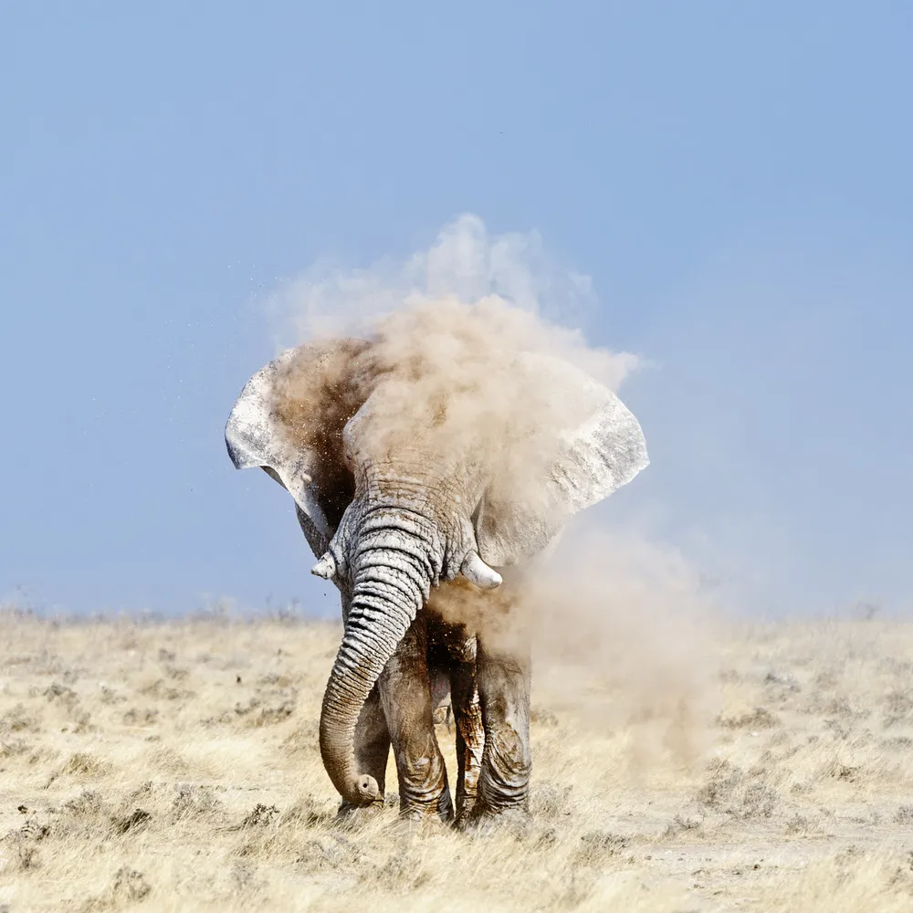 The 2013 Sony World Photography Awards. Part II