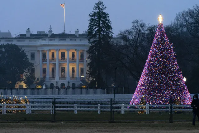 The National Christmas Tree glows with lights on the Ellipse near the White House, Thursday, December 24, 2020, on Christmas Eve in Washington. (Photo by Jacquelyn Martin/AP Photo)