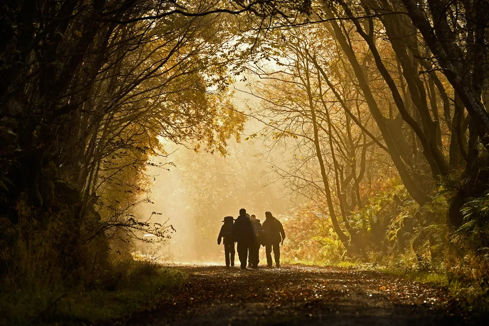 The Day in Photos – October 26, 2016