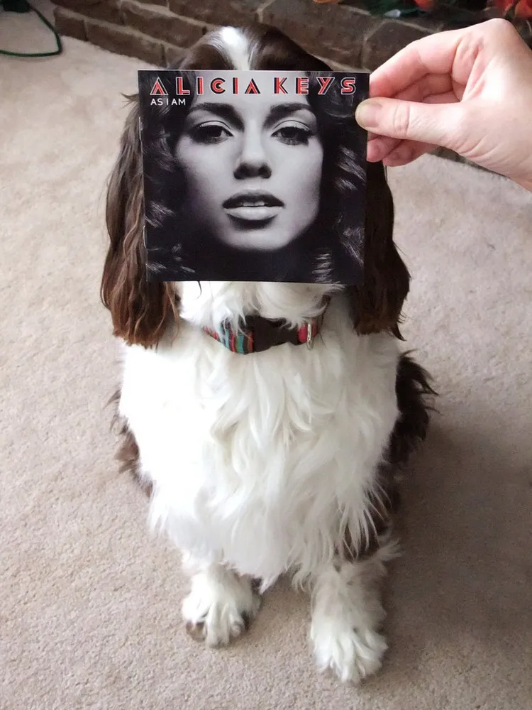 Sleeve Faces. Part II (58 Photos)