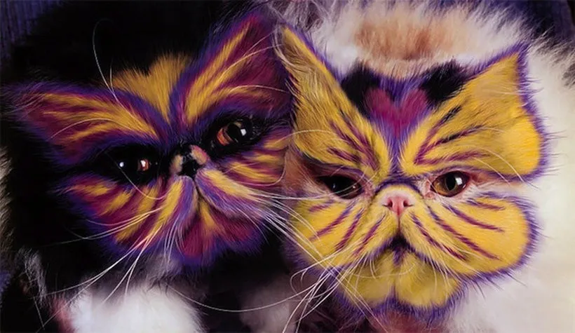 New Form of Art: Cat Painting