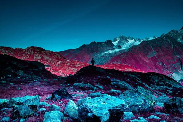 Life on Mars, in the infrared chrome category. (Photo by Katie Farr/Kolari Vision)