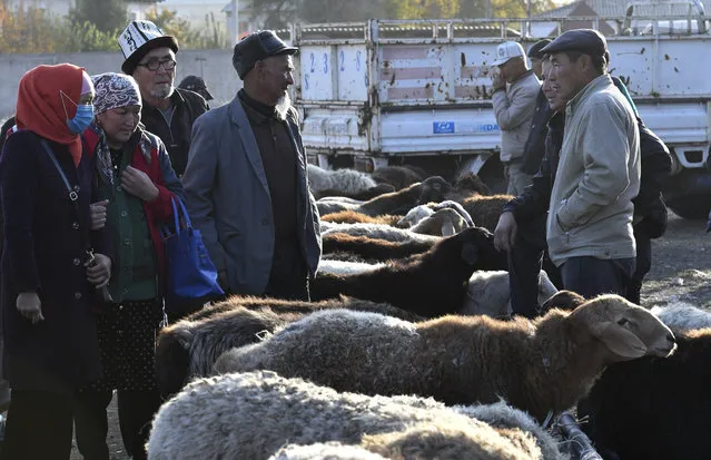 Sellers and buyers of sheeps talk to each other at the Moscow market in Belovodskoye village, about 45 kilometers (28 miles) southwest of Bishkek, Kyrgyzstan, Sunday, October 18, 2020. Kyrgyzstan, one of the poorest countries to emerge from the former Soviet Union, where political turmoil has prompted many people to have little respect for authorities, whom they see as deeply corrupt. (Photo by Vladimir Voronin/AP Photo)