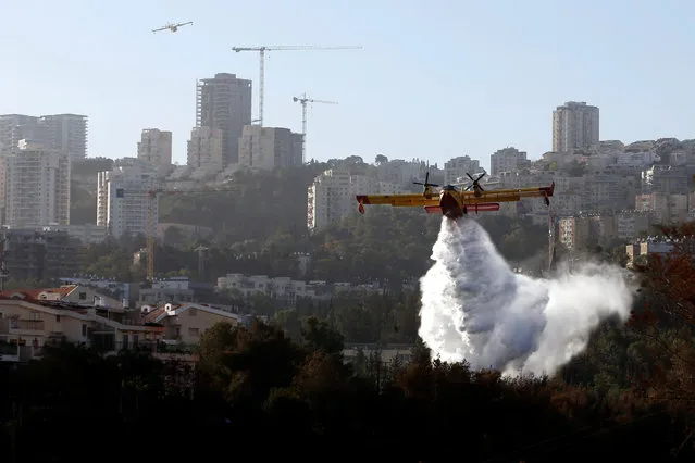 A firefighting plane drops fire retardant during wildfire over the northern city of Haifa, Israel November 25, 2016. (Photo by Baz Ratner/Reuters)
