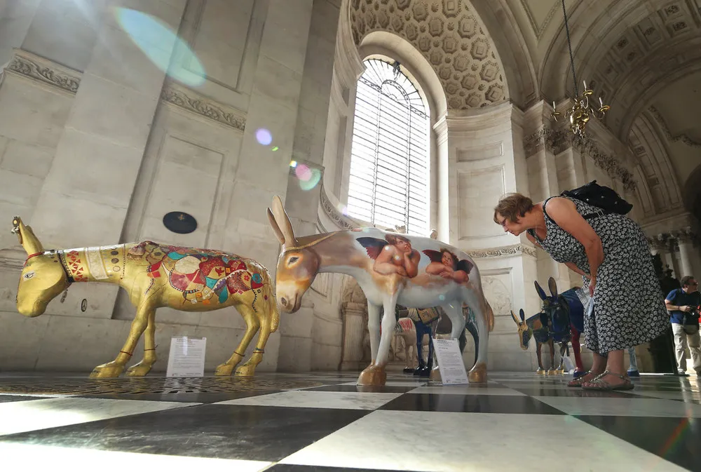 Painted Donkeys Arrive to St. Paul's Cathedral